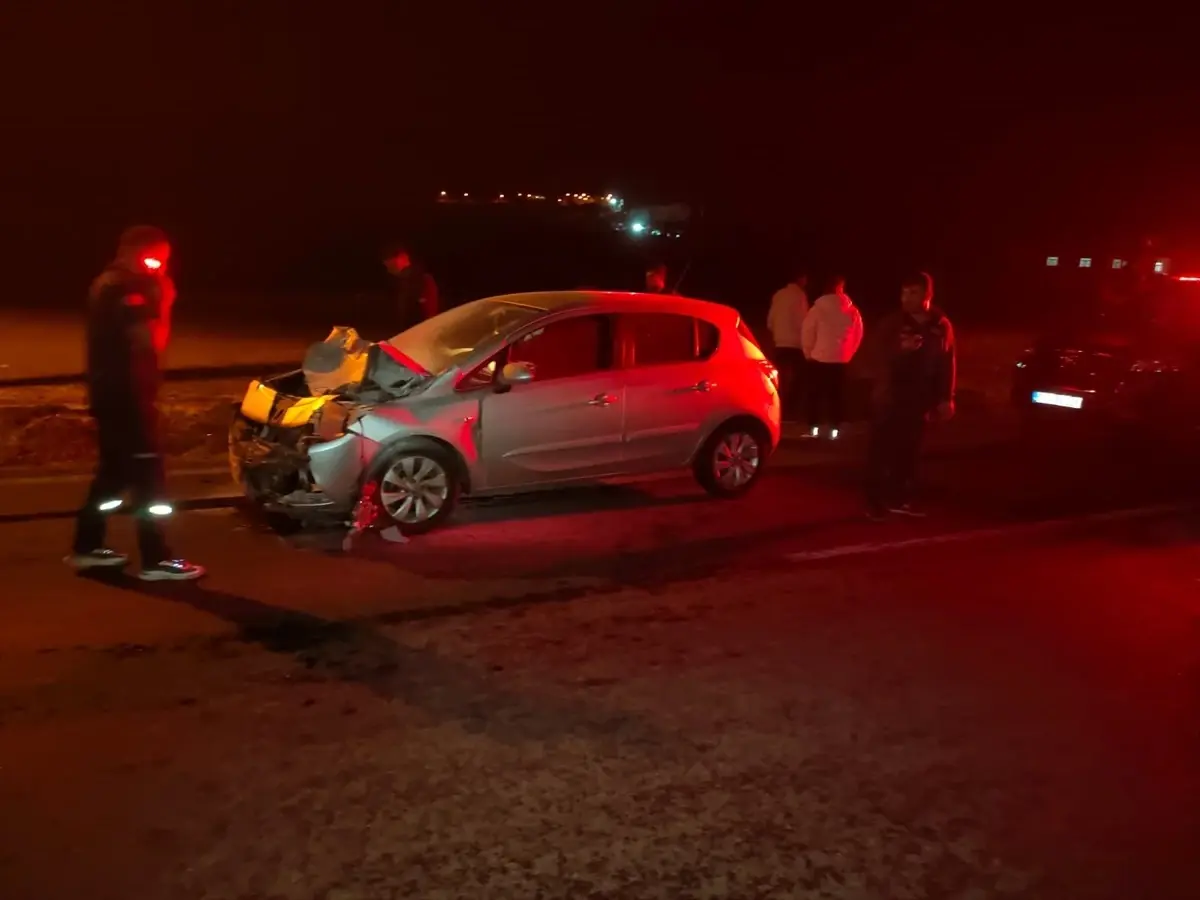 Eşeğe Çarpan Otomobilin Sürücüsü Yaralandı