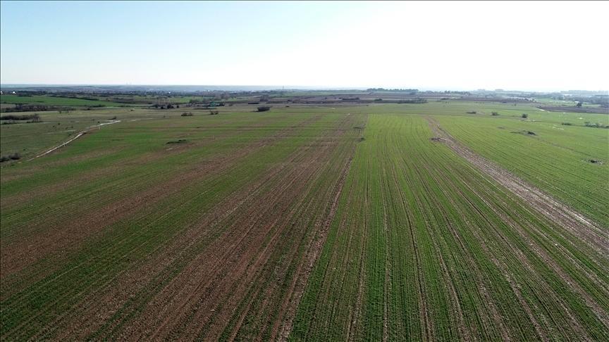 48,8 milyon metrekare arazi tıbbi ve aromatik bitki yetiştirilmek üzere kiralandı