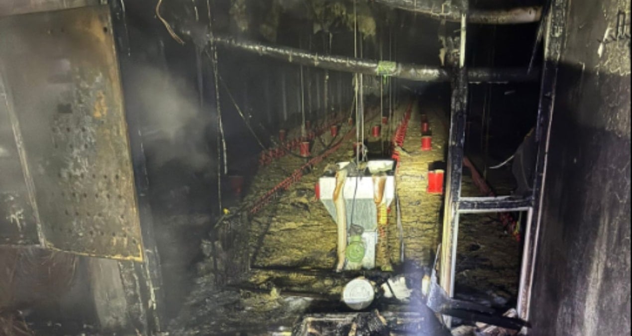 Balıkesir’de tavuk çiftliğinde çıkan yangında 5 bin civciv öldü