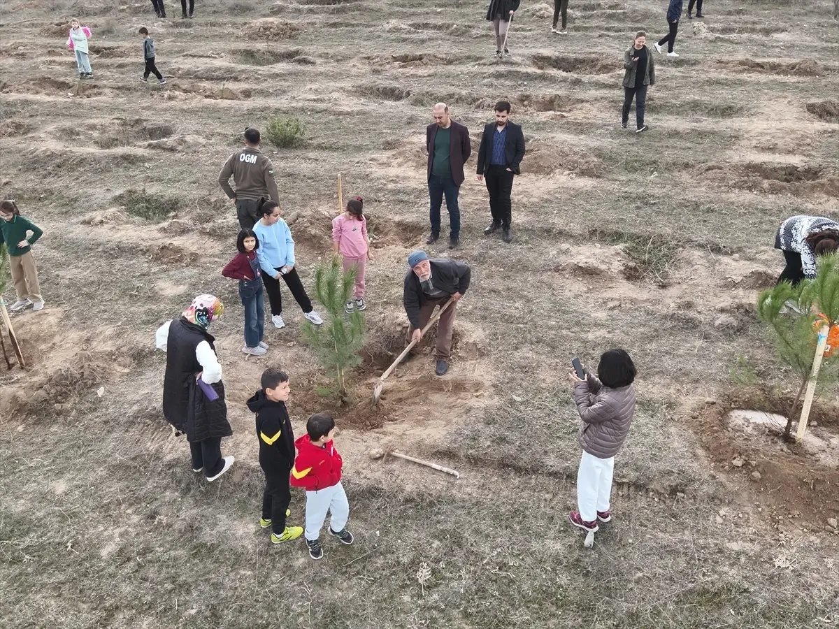 Kargı’da Fidan Dikimi Etkinliği