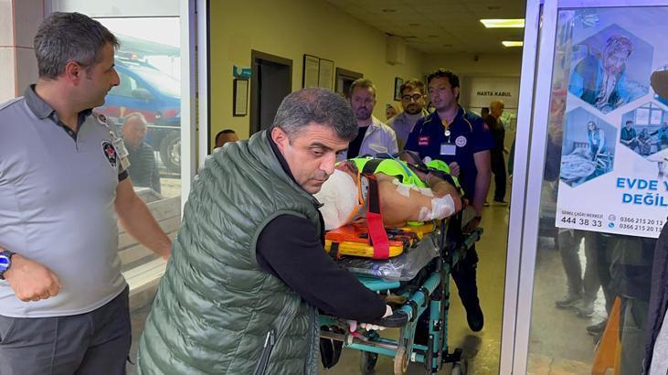 Mantar toplarken dehşeti yaşadı! Ayı saldırısına uğrayan köy imamı yaralandı