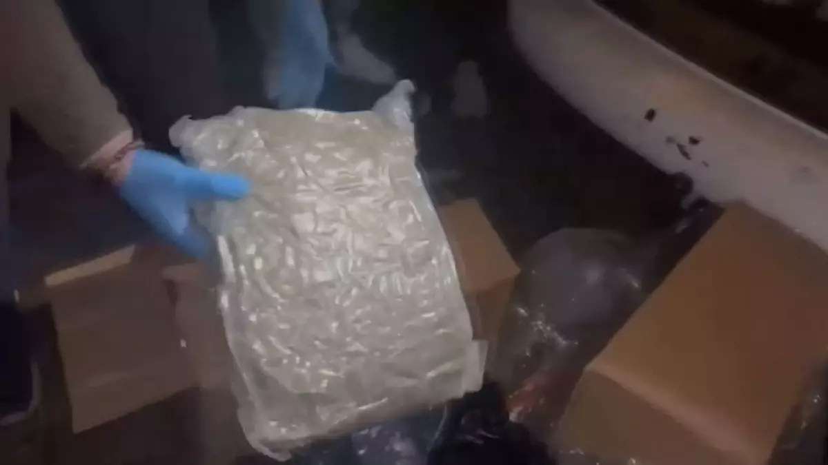 Pendik’te 71 Kilo Skunk Ele Geçirildi
