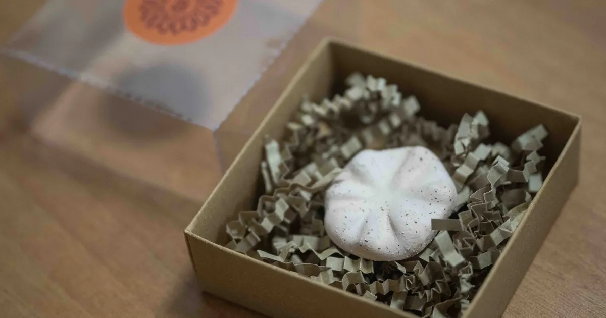 İzmir Bornova’nın 8 bin 500 yıllık hafızası gün yüzünde