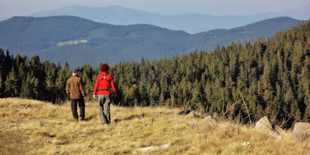Tüm dünya Bolu’da görmeye gidiyor: Karası kızılı sakallısı bir arada