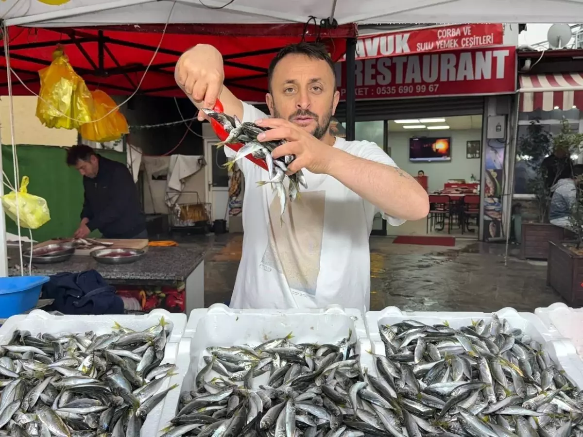 Zonguldak’ta İstavrit 100 Liradan Satılıyor