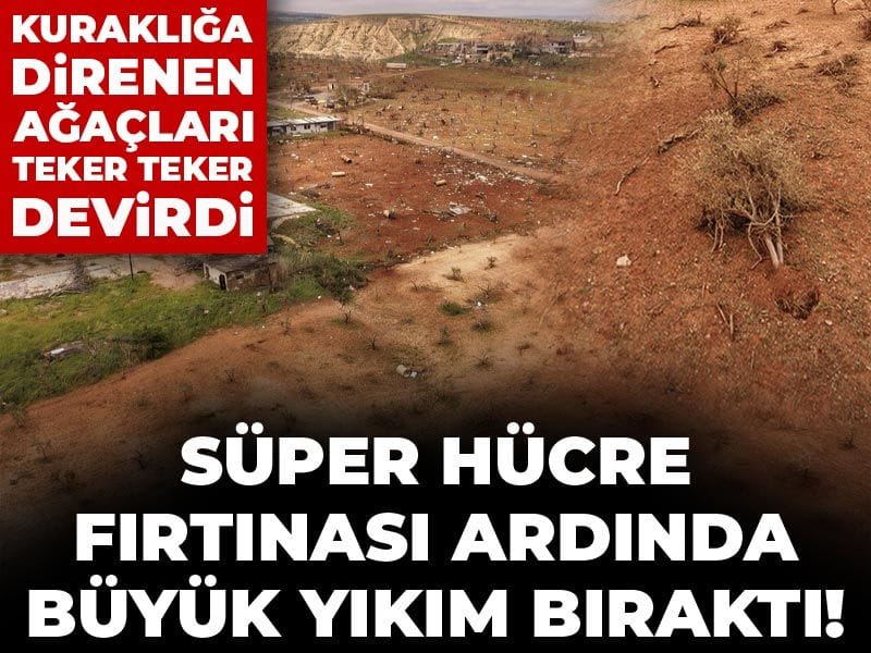 super-hucre-firtinasinin-yikimi-zam-olarak-donecek-antep-fistiginda-kotu-haberi-verdi-p4kNMVVV