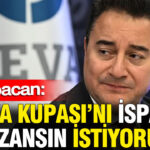 Ali babacan dunya kupasini ispanya kazansin istiyorum Kh1BydzM